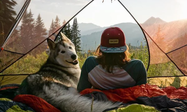 В городе открыт сервис для ретро-автомобилей
