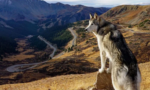 Все больше россиян покупают дома за границей