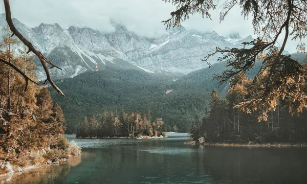 Инвестиции для чайников: куда вкладывать?